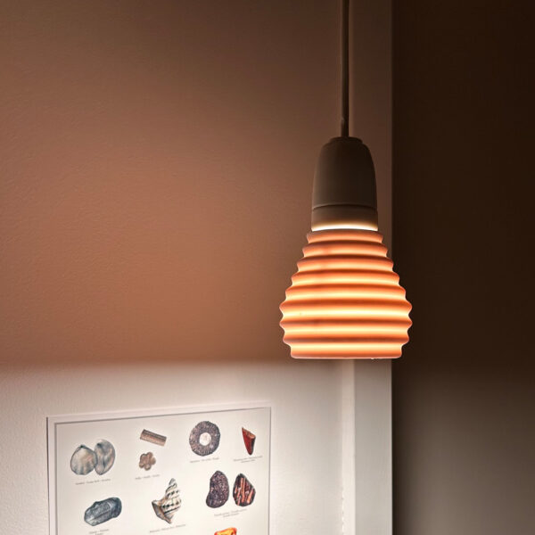 Shell lit, hanging above a fossil poster