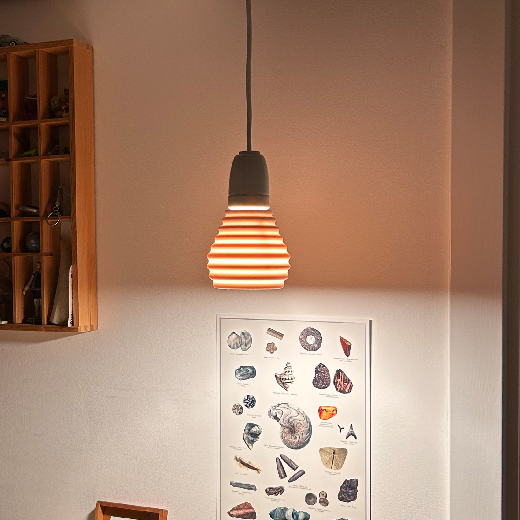 Shell lighting a fossil poster on the wall below